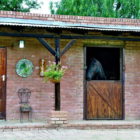Owls Loft Guest House Midrand Exteriér fotografie