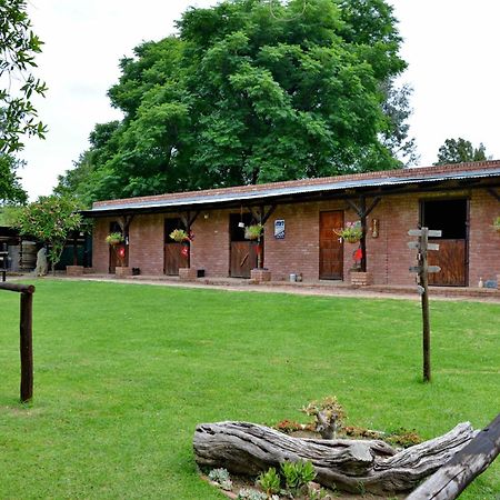 Owls Loft Guest House Midrand Exteriér fotografie