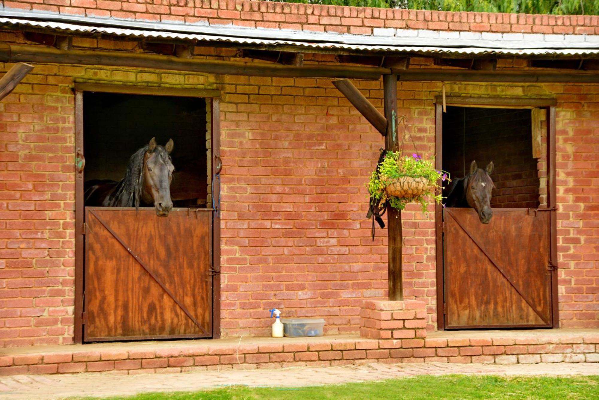 Owls Loft Guest House Midrand Exteriér fotografie
