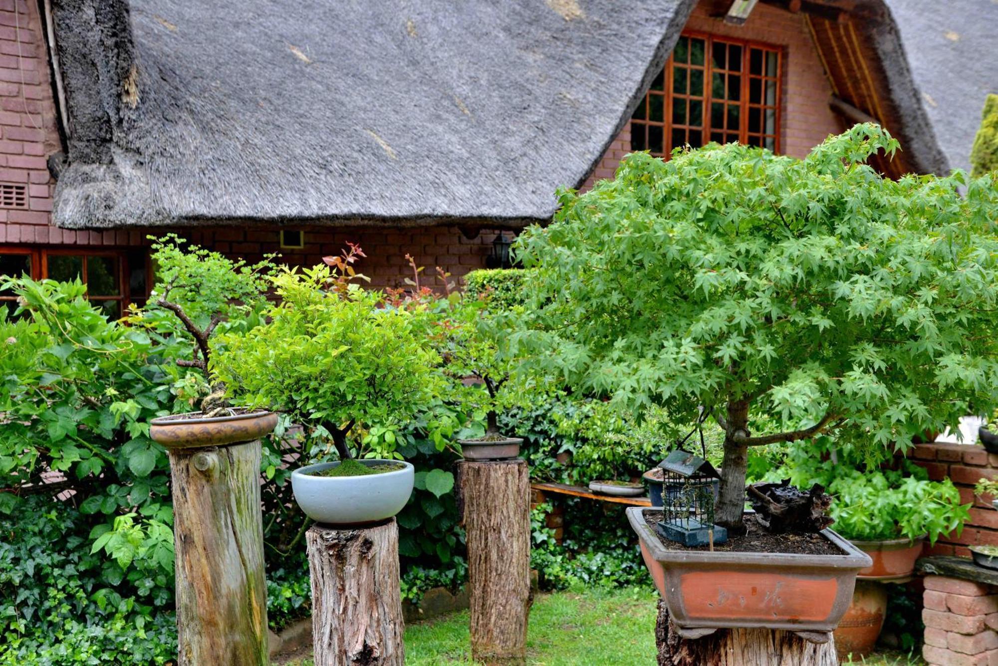Owls Loft Guest House Midrand Exteriér fotografie